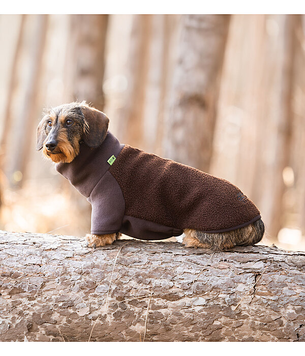 Dachshund Fleece Jumper Edward