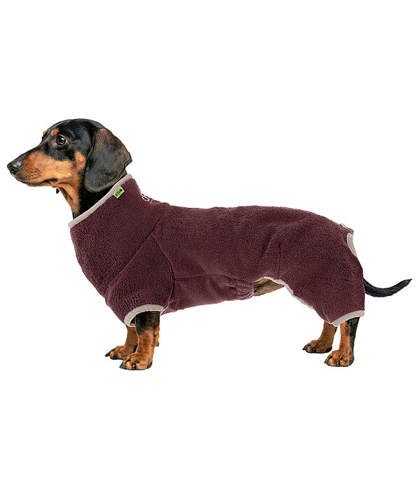 Dachshund Bathrobe Theo