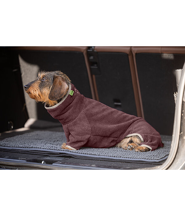 Dachshund Bathrobe Theo