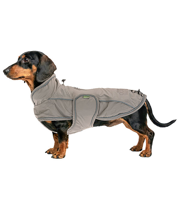 Dachshund Raincoat Winston