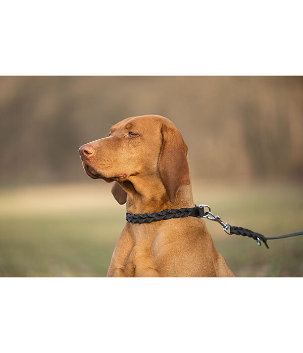 Leather Dog Lead Adams