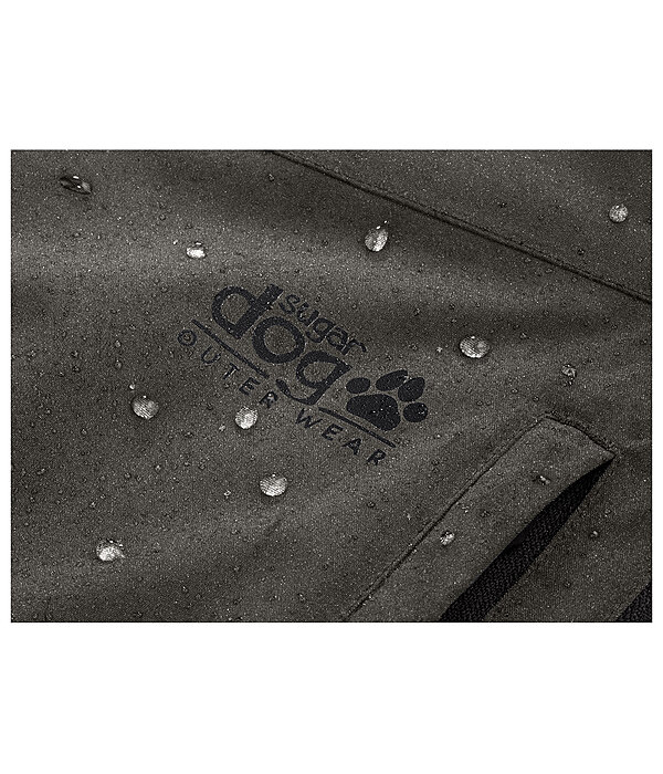 All-Season Outdoor Jacket Grand Forrest