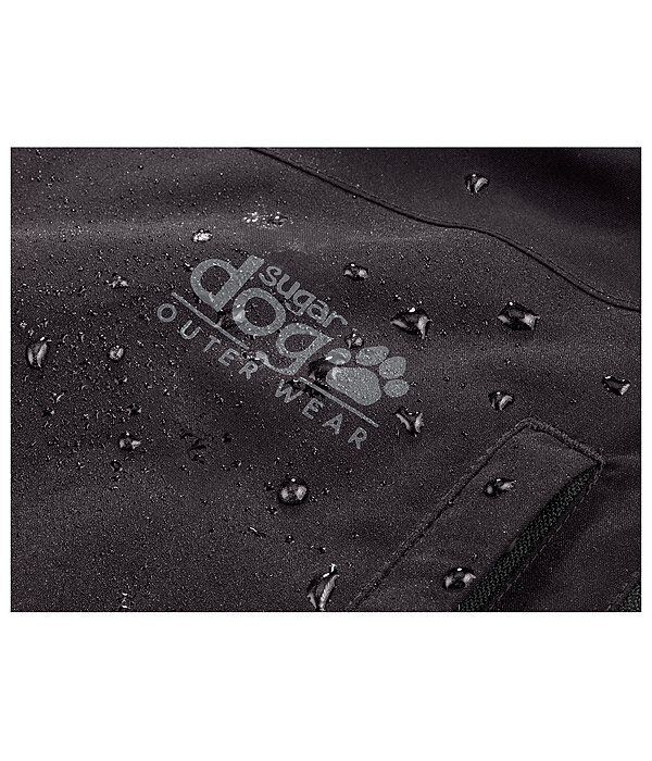 All-Season Outdoor Jacket Grand Forrest