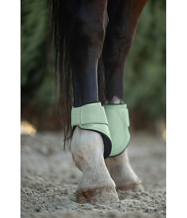 Fetlock Boots Sophistication