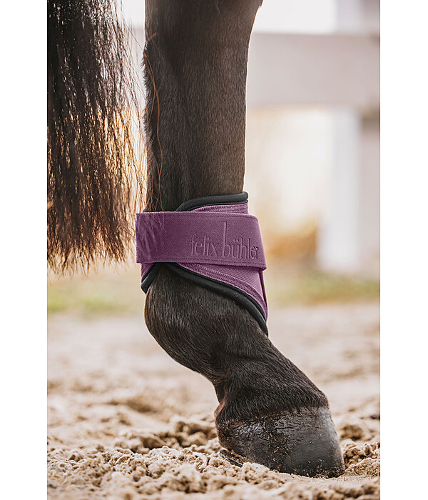 Fetlock Boots Sophistication