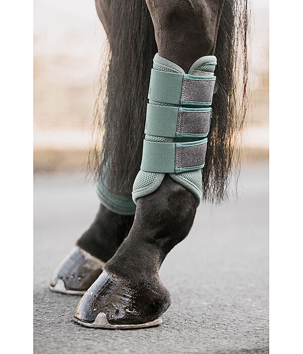 Mesh Boots Glitter, Hind Legs
