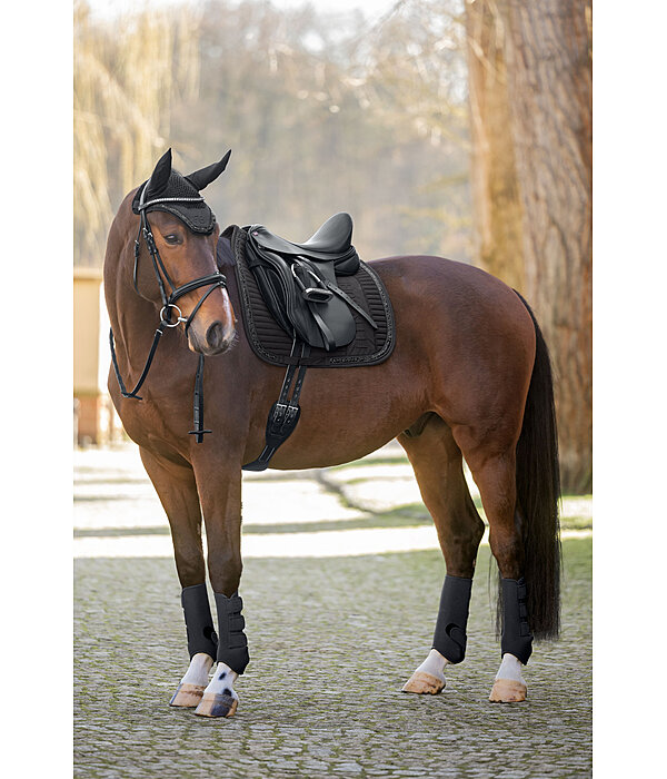 Boots Glitter Stone, Hind Legs