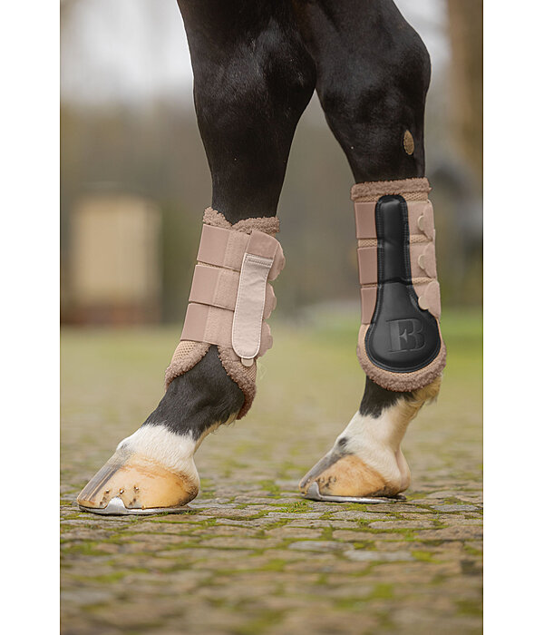 Teddy Boots, Hind Legs