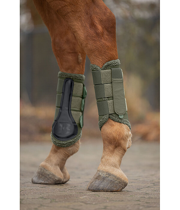 Teddy Boots, Hind Legs