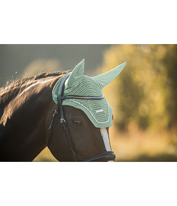 Fly Veil Sophistication