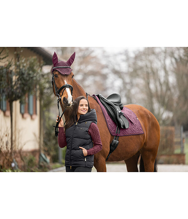 Fly Veil Glimmering