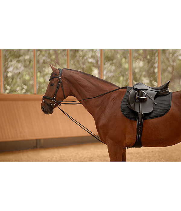 Draw Reins
