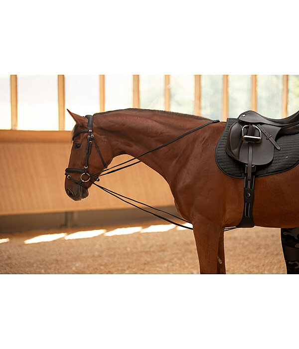 Draw Reins