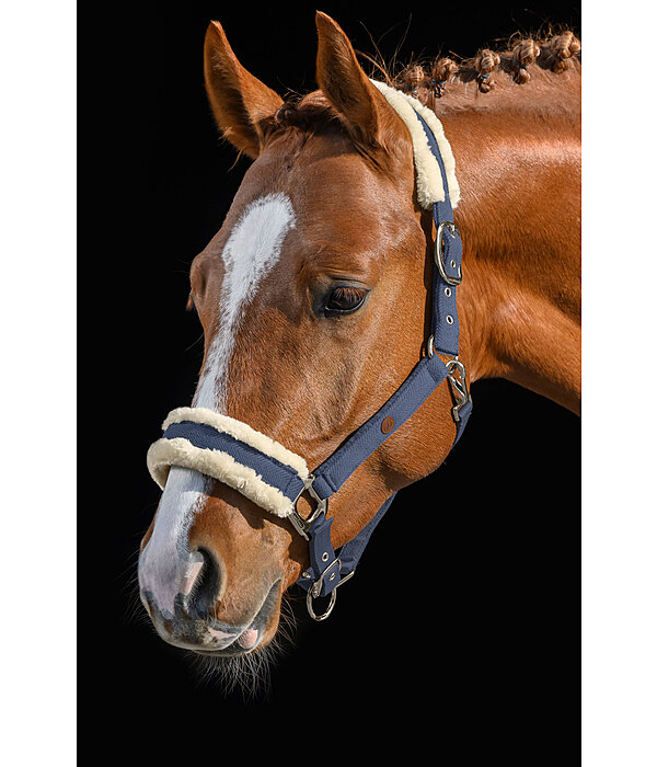 Headcollar Knitted Collection