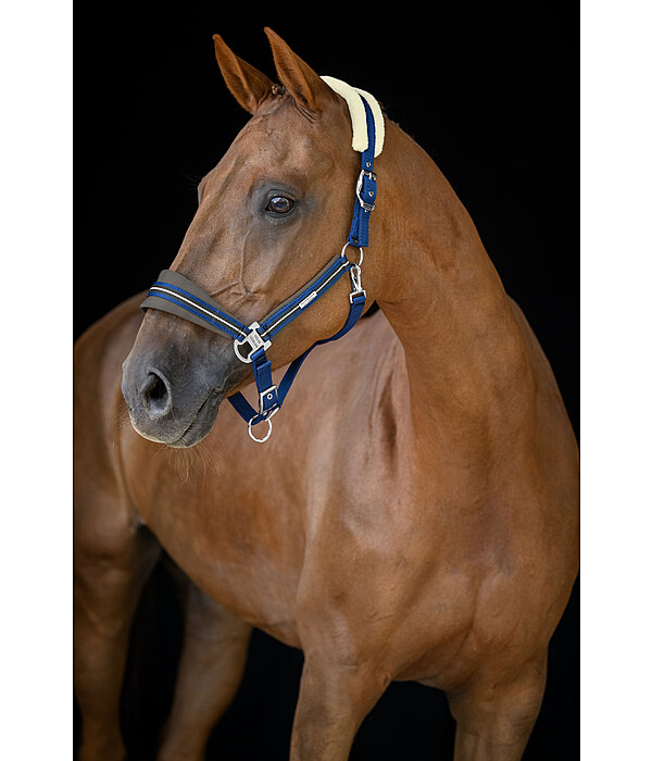 Headcollar Swiss Design