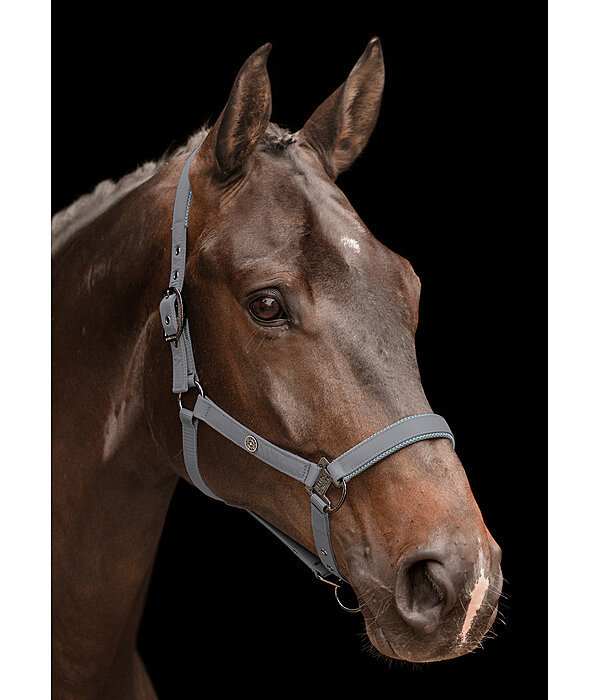 Headcollar Astro