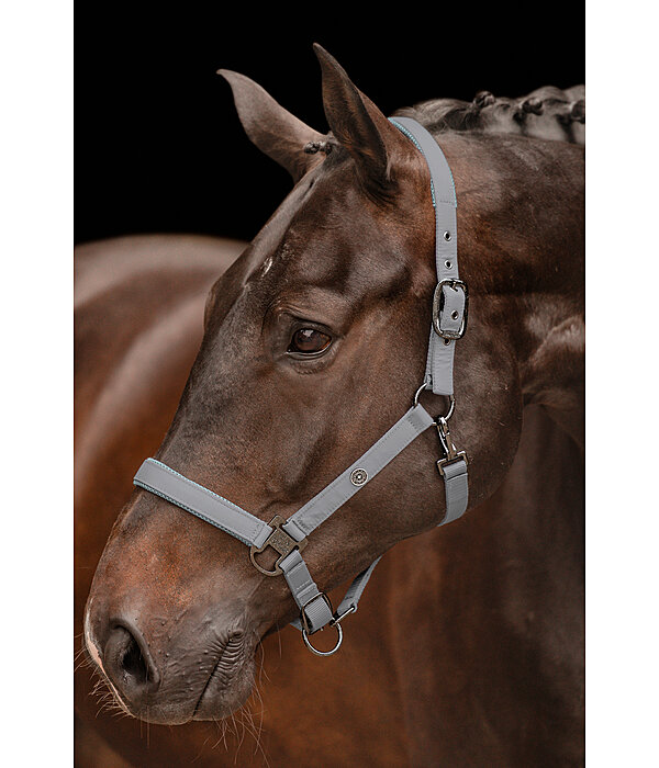 Headcollar Astro