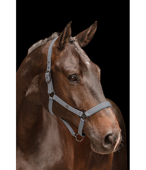 Headcollar Astro