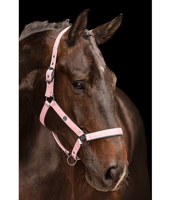 Headcollar Astro