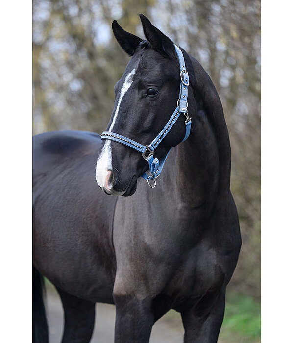 Headcollar Brilliant