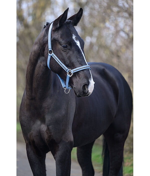 Headcollar Brilliant