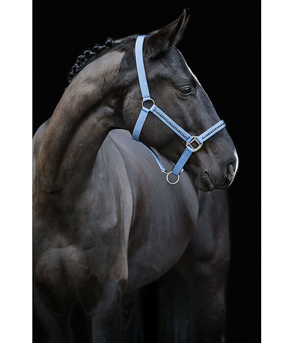 Headcollar Brilliant