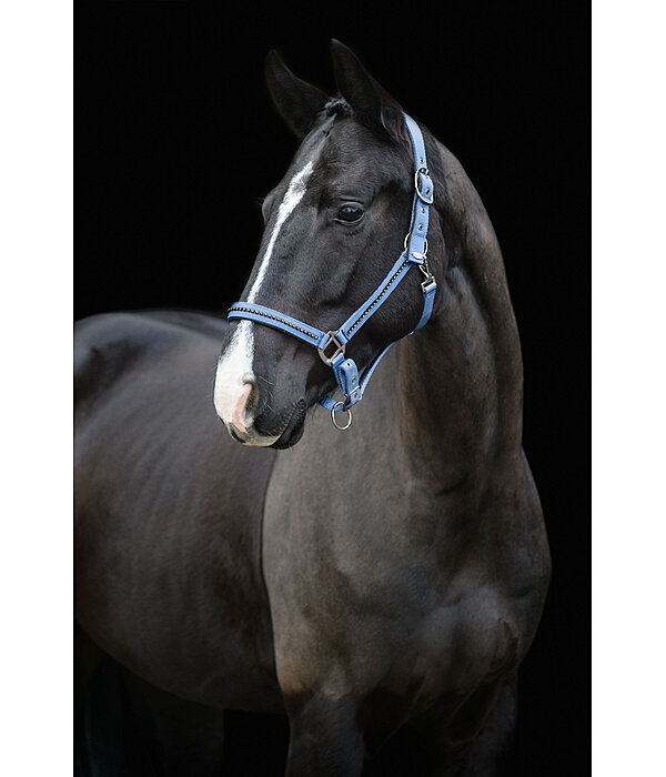 Headcollar Brilliant