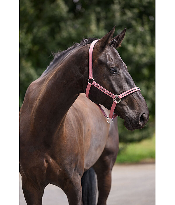 Headcollar Brilliant