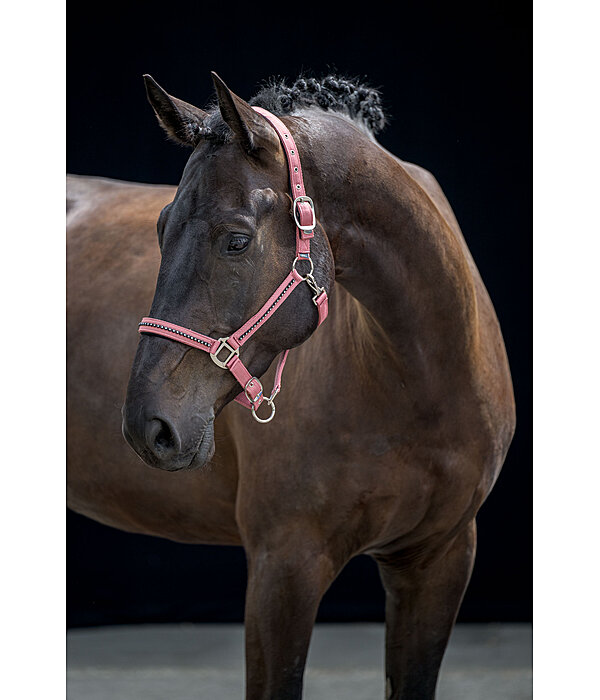 Headcollar Brilliant