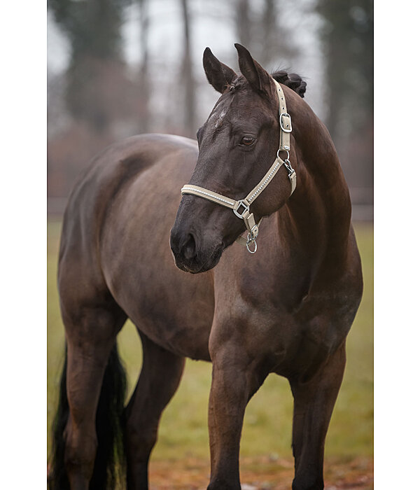 Headcollar Brilliant