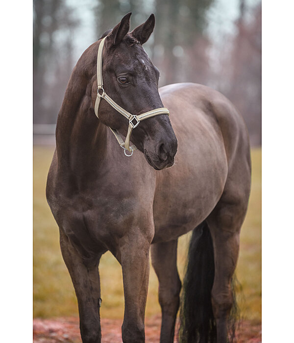 Headcollar Brilliant