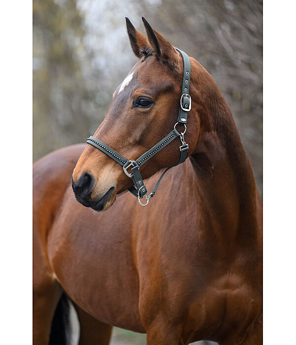 Headcollar Brilliant