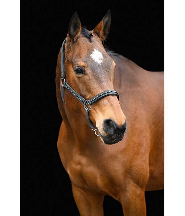 Headcollar Brilliant
