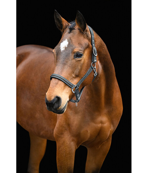 Headcollar Brilliant