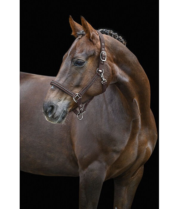 Headcollar Brilliant