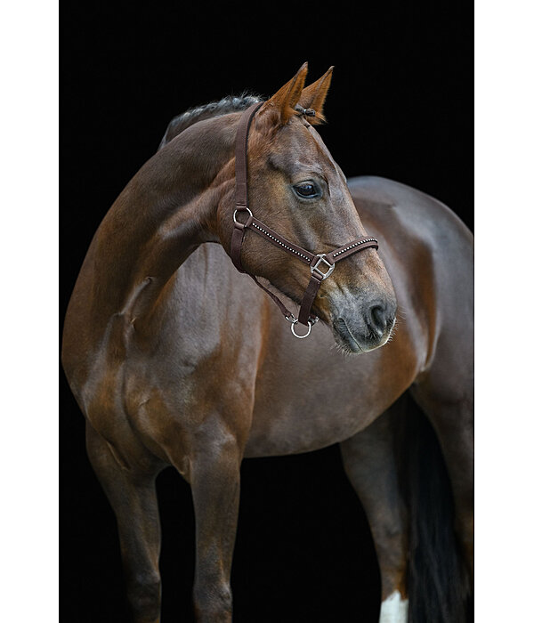 Headcollar Brilliant