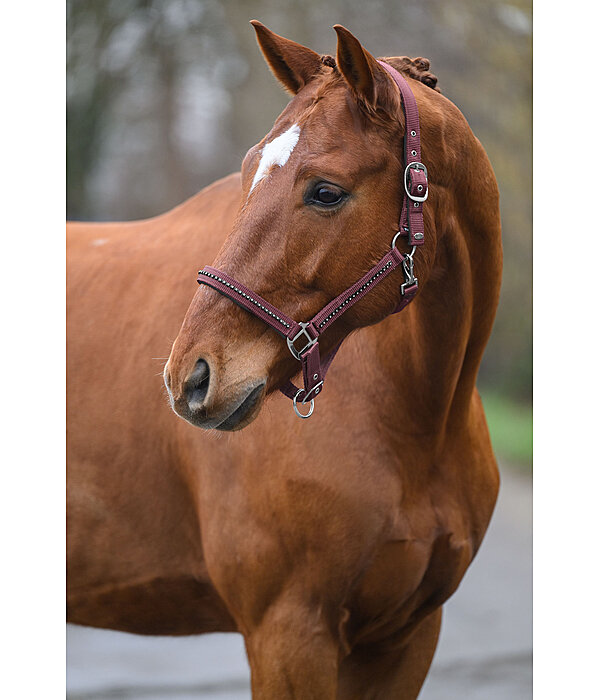Headcollar Brilliant