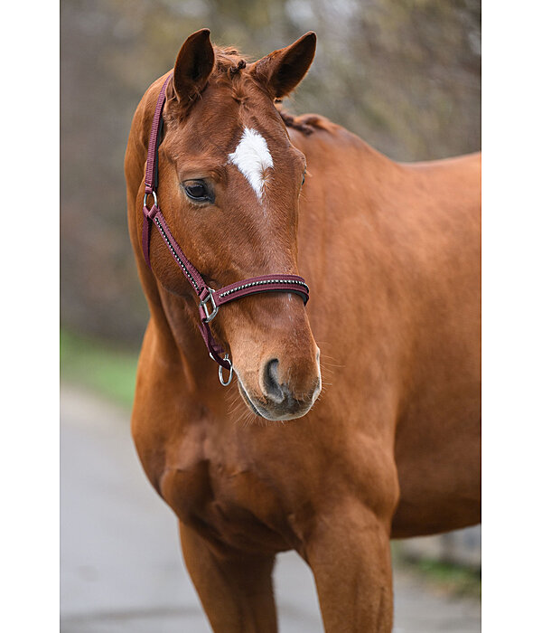 Headcollar Brilliant