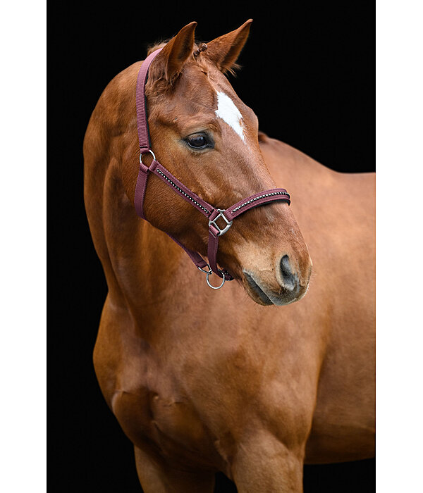 Headcollar Brilliant