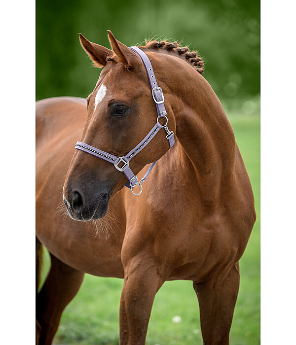 Headcollar Brilliant
