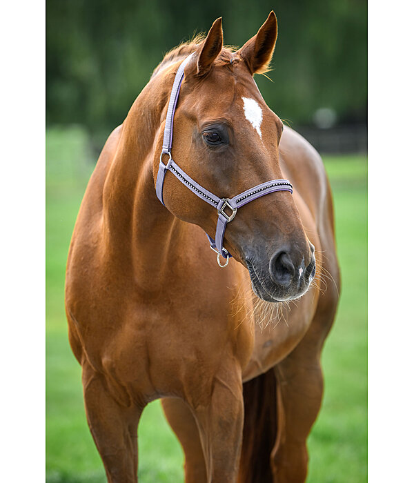 Headcollar Brilliant