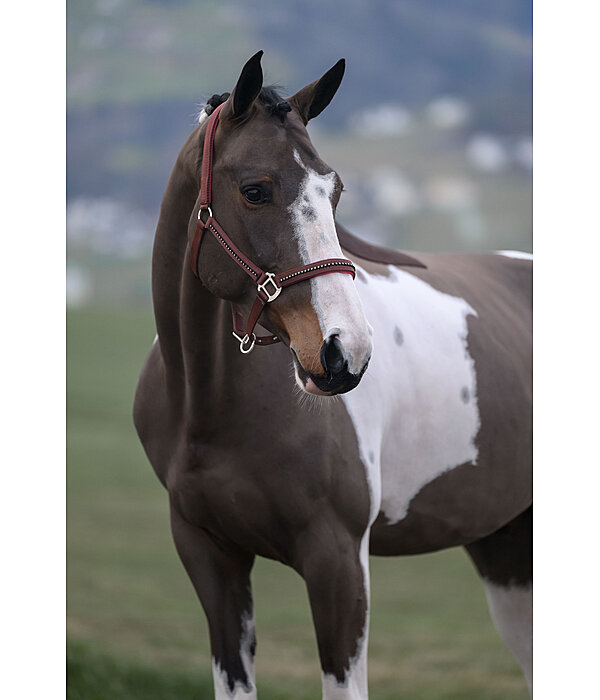 Headcollar Brilliant