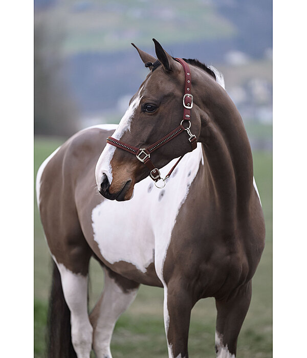 Headcollar Brilliant