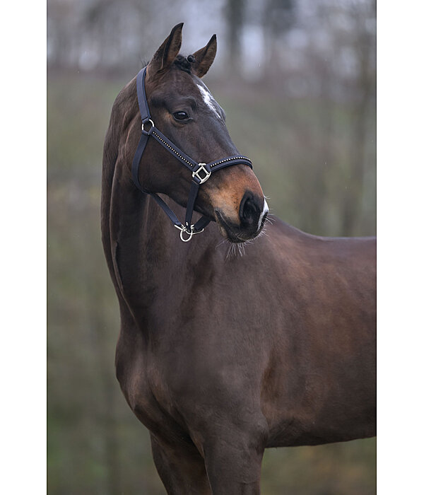 Headcollar Brilliant