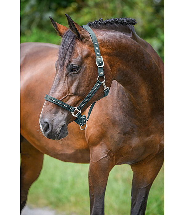 Headcollar Brilliant