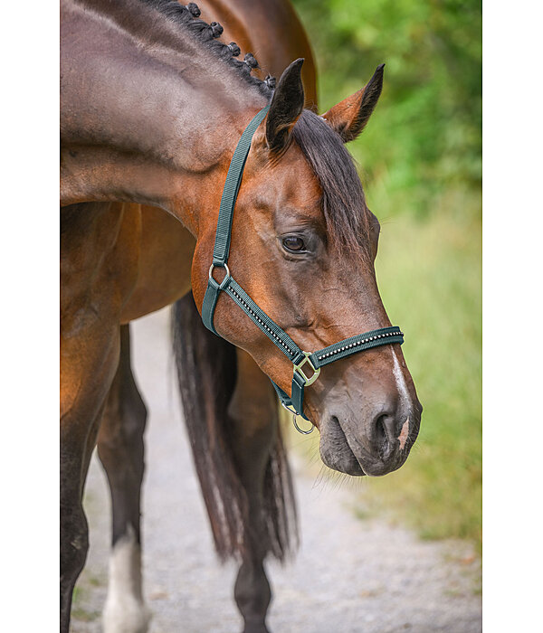 Headcollar Brilliant
