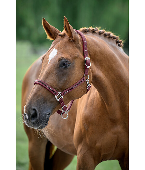 Headcollar Brilliant