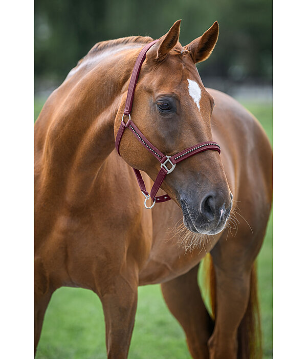 Headcollar Brilliant