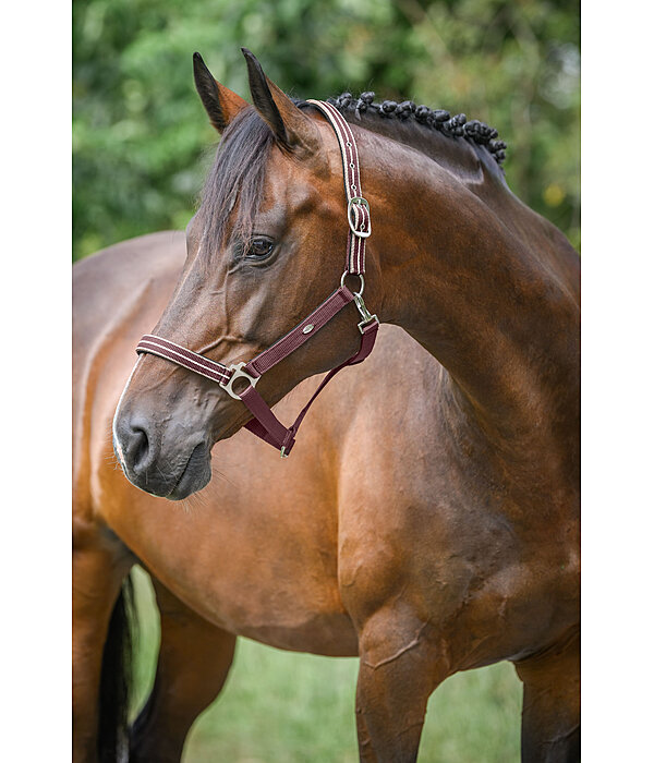 Headcollar Primary