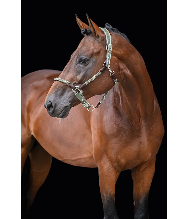 Anatomical Headcollar Sophistication